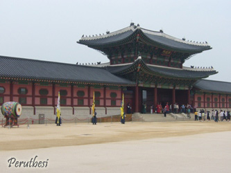 Gyeongbokgung Palace day 6 korea